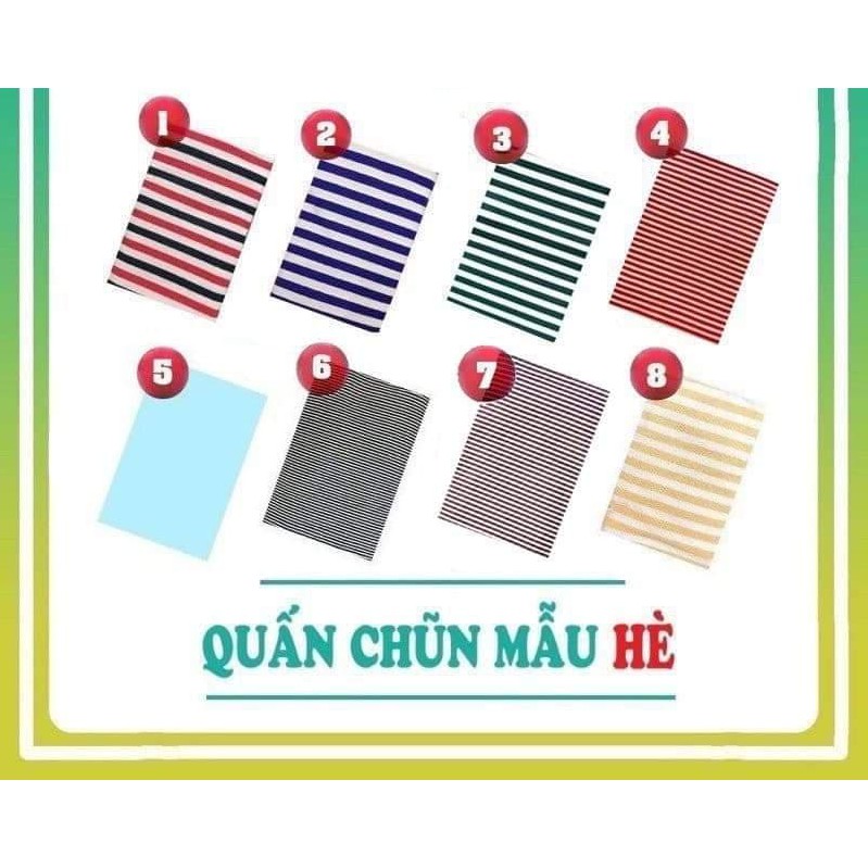 Chũn cocoon mùa hè