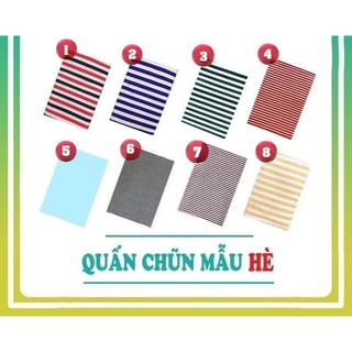 Chũn cocoon mùa hè