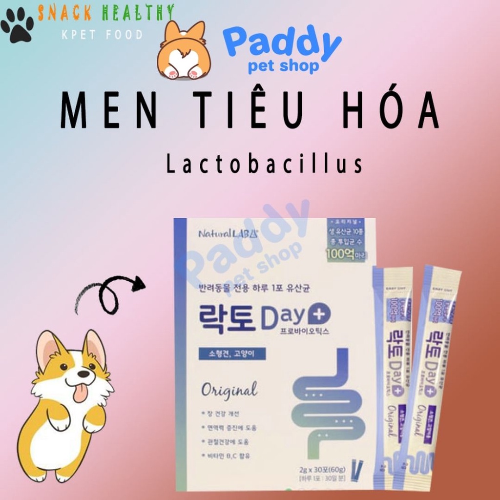 Men Tiêu Hóa Lactoday Cho Chó - Tăng Lợi Khuẩn &amp; Giảm Hôi Phân