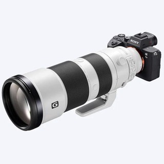 Ống kính Sony FE 200-600mm F/5.6-6.3 G OSS