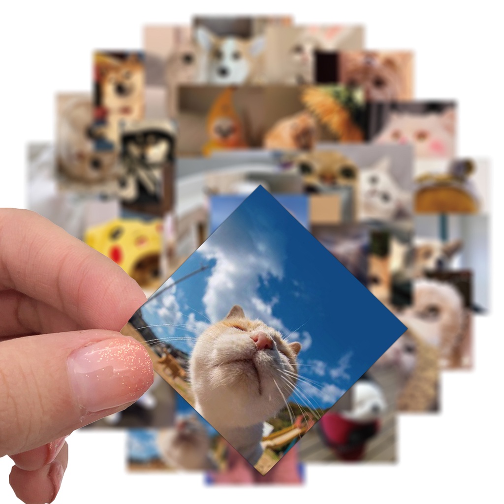 103/55/48 Miếng Dán Hình Mèo Và Chó Emoji Dễ Thương Trang Trí Điện Thoại