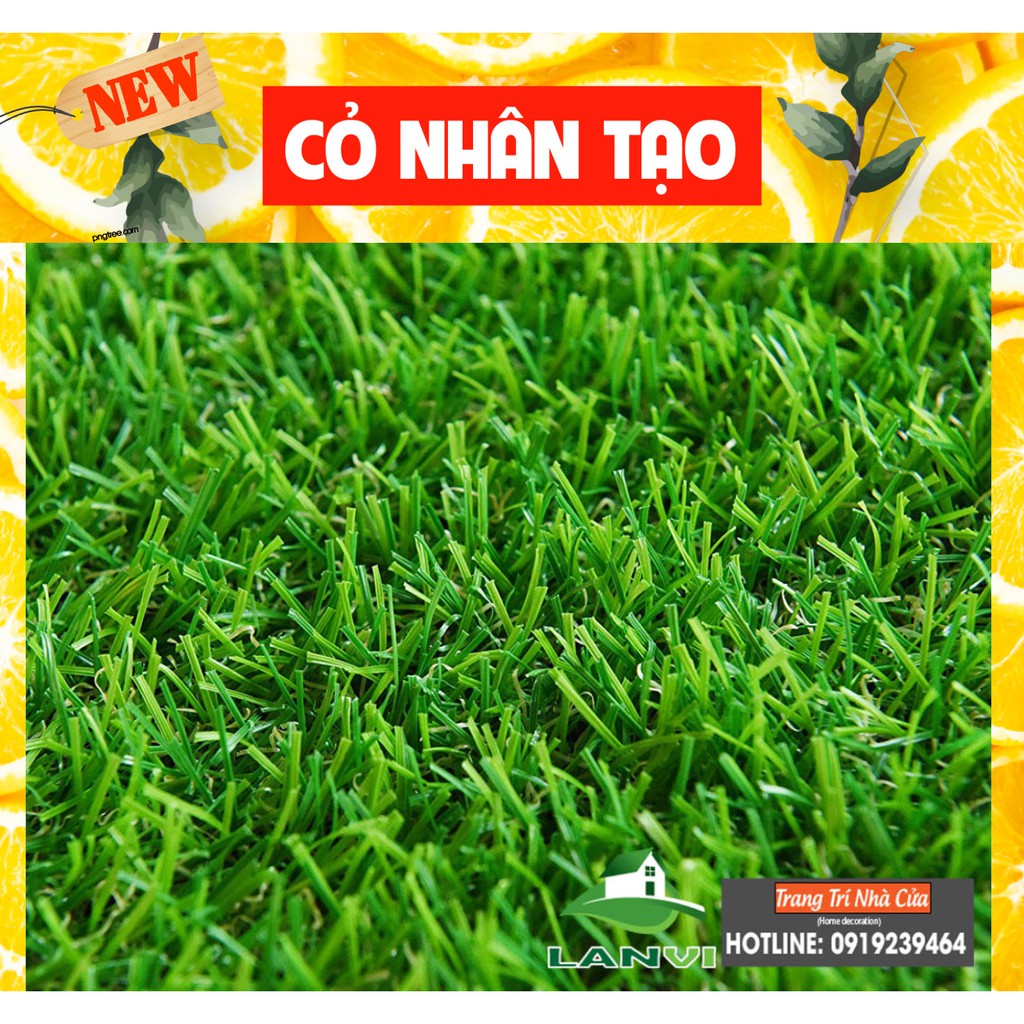 Thảm cỏ nhân tạo, loại cỏ cao 2cm  đủ kích thước