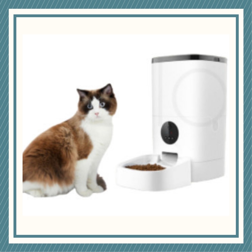 Máy cho mèo ăn tự động , máy cho ăn tự động chăm sóc pet yêu mọi lúc