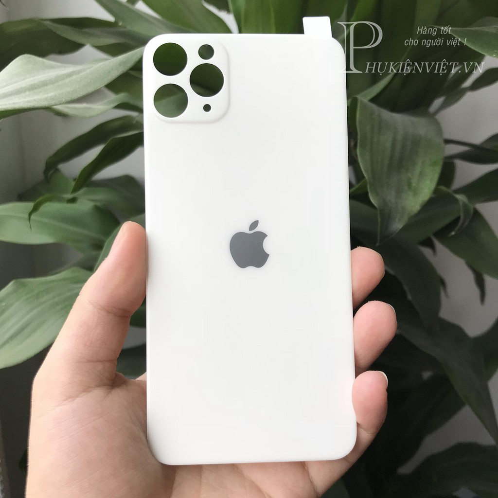 Dán bảo vệ lưng và camera cho iphone 11Pro/11Pro max