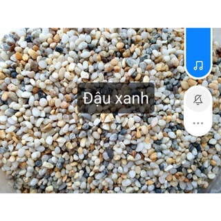sỏi trang trí bể cá cảnh 1kg