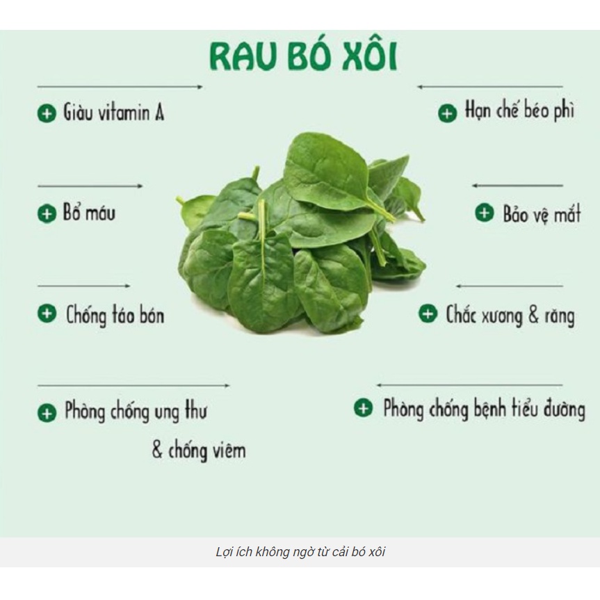 Hạt Giống Cải Bó Xôi Chịu Nhiệt Việt - 20g