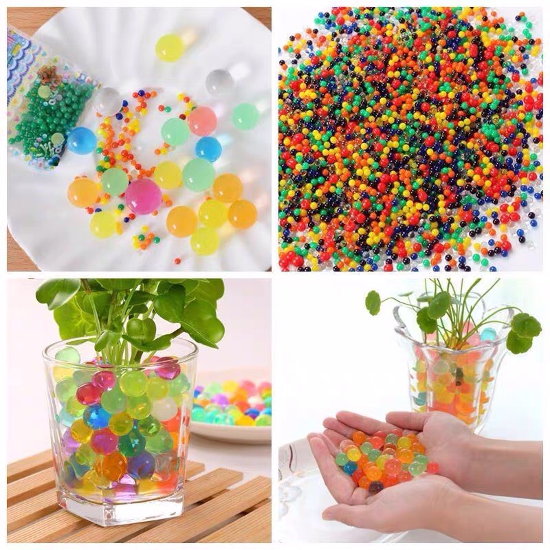 Combo mix 20 hạt giống sen mini tiểu cảnh  - tặng kèm hạt tinh thể và kích rễ Seed Land