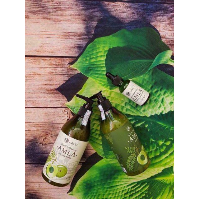 [Ngăn Ngừa Rụng + Mọc Tóc] Bộ Dầu Gội+Xả+Serum Thảo Dược Amla Laco Chiết Xuất Thiên Nhiên Chính Hãng Công Ty | BigBuy360 - bigbuy360.vn