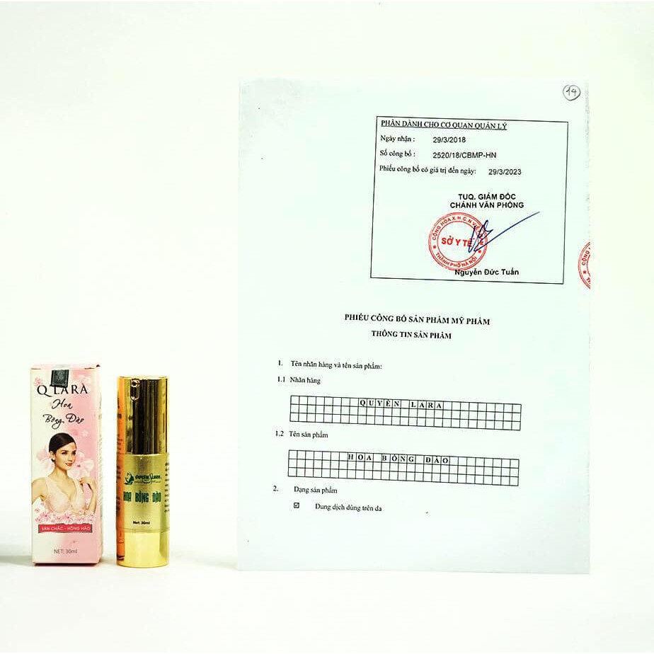 Hoa Bồng Đào | BigBuy360 - bigbuy360.vn