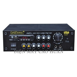 SIÊU RẺ--Amply Karaoke mini AC / DC 12V bluetooth / USB / thẻ SD / Radio CALIFLOWER BX2277