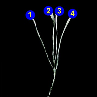 Dây Dù Siêu Bền PE-ULTRA-500m - X4