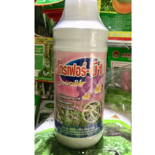 Chai 1 lít B1 nhập khẩu trực tiếp Thái Lan