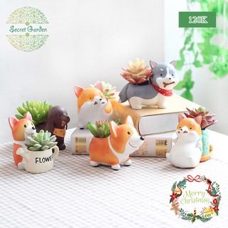 Chậu cây thú hình chó