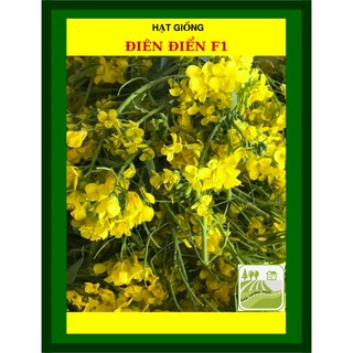 Hạt Giống Hoa Điên Điển (Sesbania sesban) 1Gram