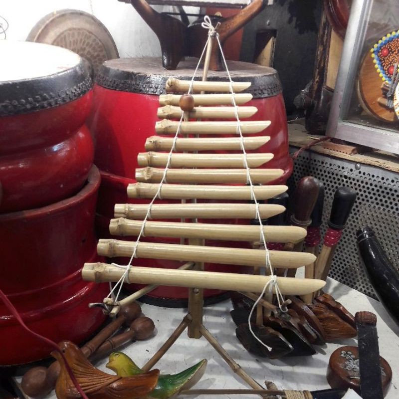 Combo10 trống đàn