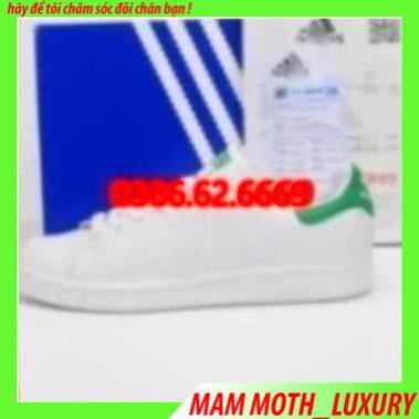 [FREE SHIP - XẢ KHO] giày thể thao sneaker GIÀY S T A N S M I T H GÓT XANH full  box AMT1