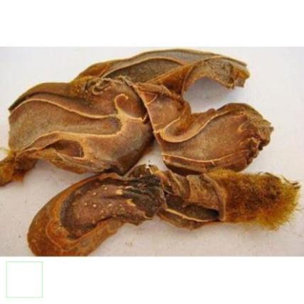 1kg Cẩu tích khô hàng loại 1