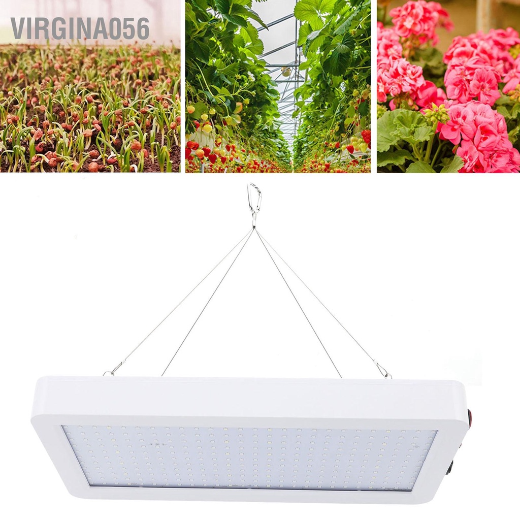 Có thể bán buôn 2000W Full Spectrum LED Grow Light Nhà máy chuyển đổi đôi với 3 bánh răng cho cây trong nhà Rau và hoa 100‑277V Virgina056 Hàng giao ngay