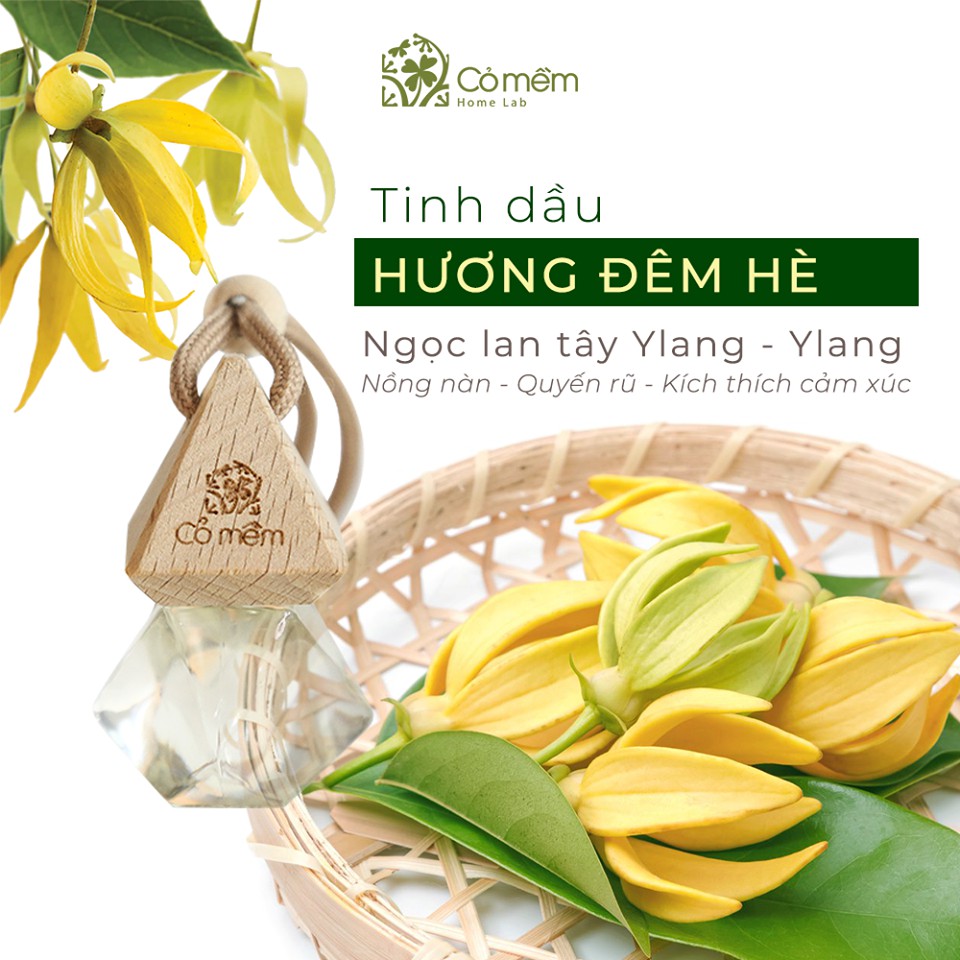 Tinh Dầu Treo Hương Đêm Hè Treo Tủ Treo Phòng Treo XeThiên Nhiên Nguyên Chất Nồng Nàn Cảm Xúc Cỏ Mềm 8,5ml