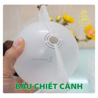 Combo 5 bầu chiết cành croco - ghép giống rễ cây nhân giống có thể tái sử dụng bằng nhựa màu trong suốt
