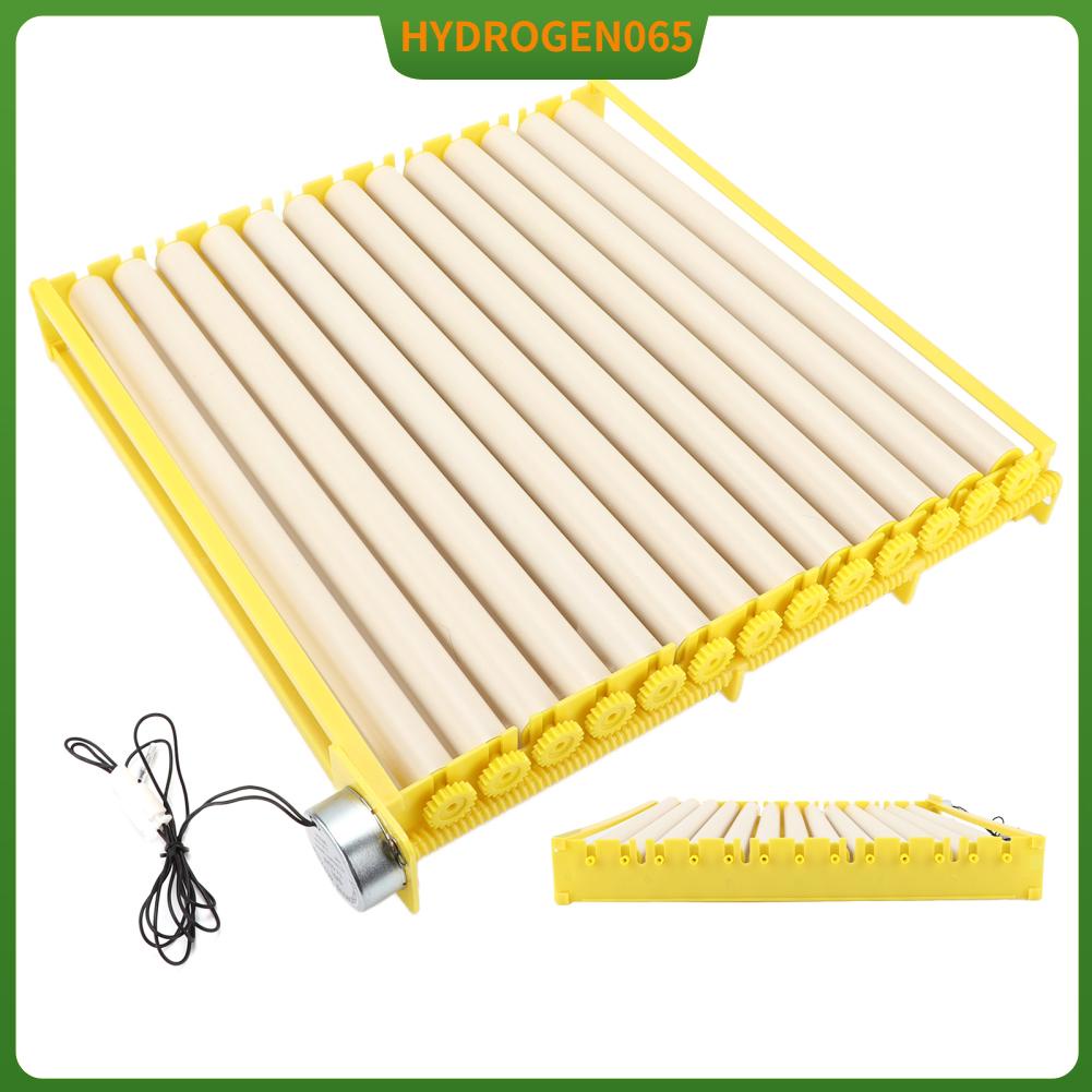 Khay ấp trứng hoàn toàn tự động hộ gia đình gà vịt Ngỗng cút Hydrogen065