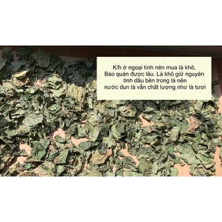 Lá trầu không tươi 200gr