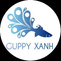 GuppyXanhVN