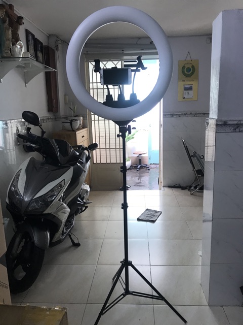 Đèn Livestream 55CM RL-21 (65W) kẹp được 3 đt + remote điều chỉnh đèn + chân đèn thép 2m