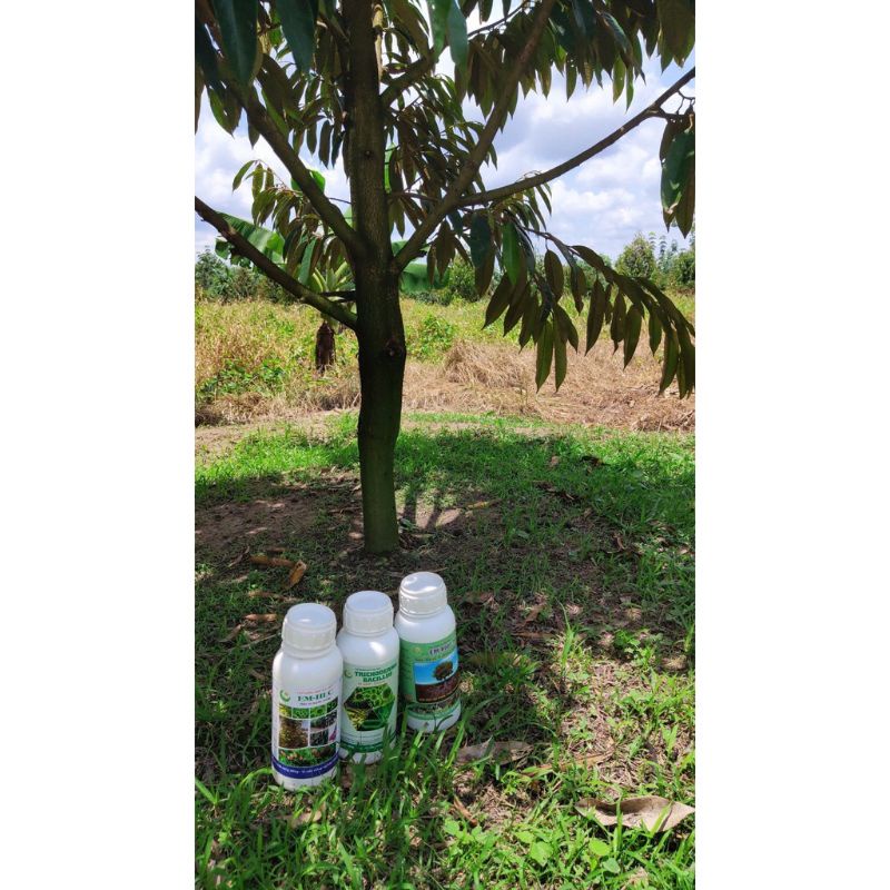 CHẾ PHẨM SINH HỌC TRICHODERMAR BACILLUS HLC  500ml