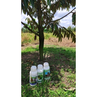 CHẾ PHẨM SINH HỌC TRICHODERMAR BACILLUS HLC  500ml