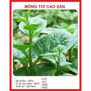 (Newseed) Hạt Giống Rau Mồng Tơi 30gr