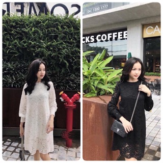 Đầm ren suông tay bo