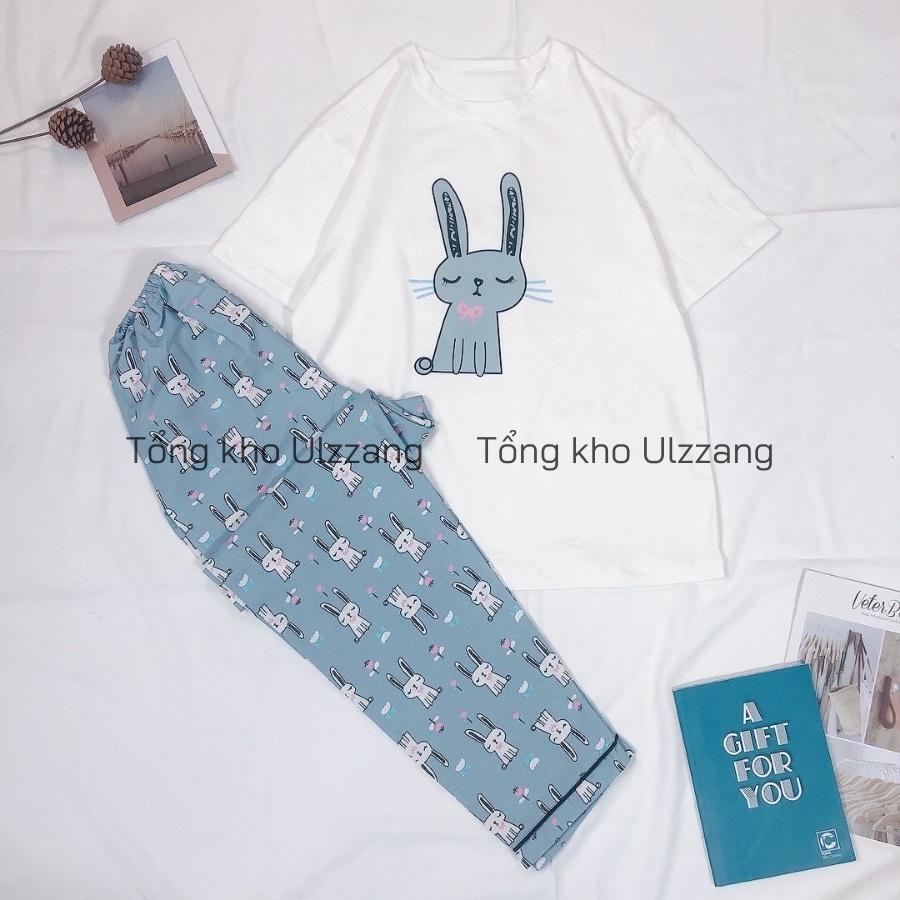 Bộ ngủ áo cotton quần lừng Kate Thái siêu cute | BigBuy360 - bigbuy360.vn