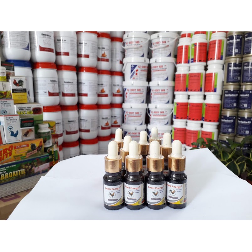 Super energy lọ 10ml. Gà lỏn lẻn, cự yếu.