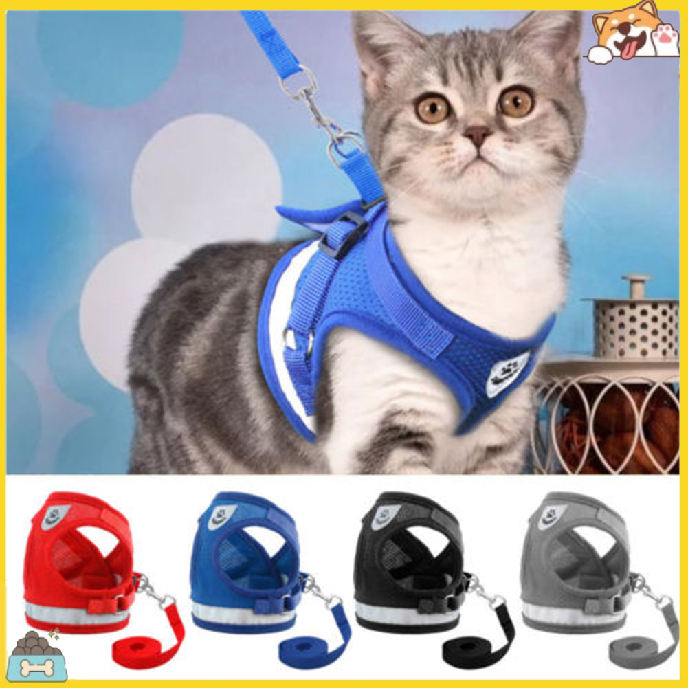 Dây dắt thú cưng đi dạo có thể điều chỉnh