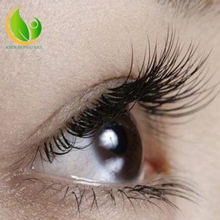 [ CHÍNH HÃNG ] Dầu Dừa COCO SECRET - Combo Làm Đẹp