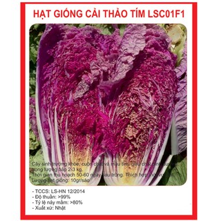 Hạt giống cải thảo tím F1 ( túi 20 hạt )