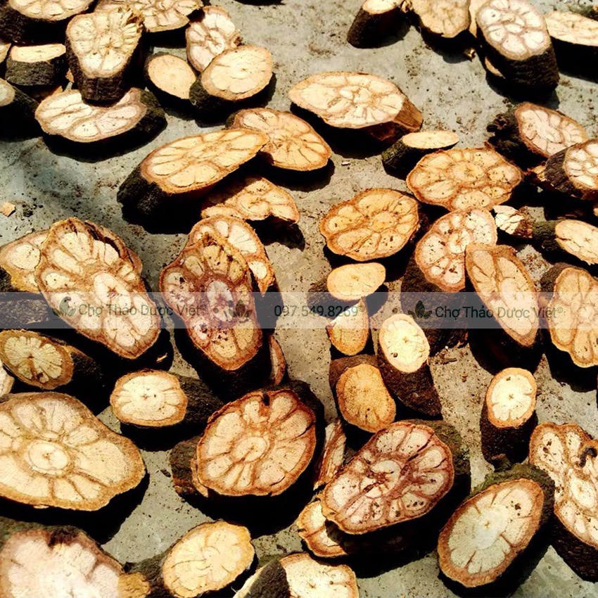 Cỏ kha cúc sấy khô 100g (kha cúc) - Chợ Thảo Dược Việt