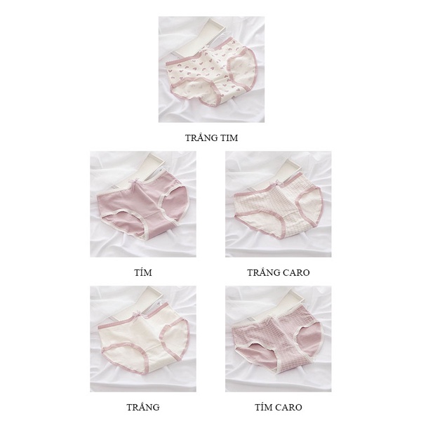 Quần lót Cotton nữ kháng khuẩn viền ren dễ thương thoáng khí LAVENUSA QL20