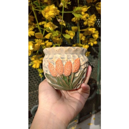 Chậu mini trồng sen đá, xương rồng, cây cảnh để bàn làm việc, bàn học, quà tặng, trang trí