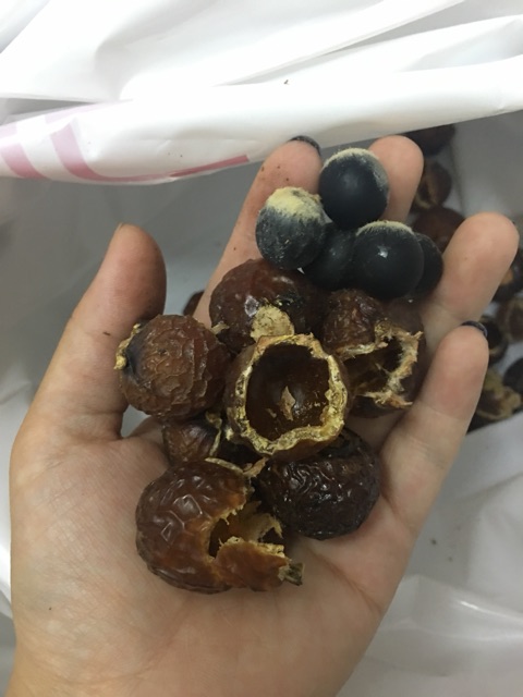 4 kg bồ hòn chưa tách hạt