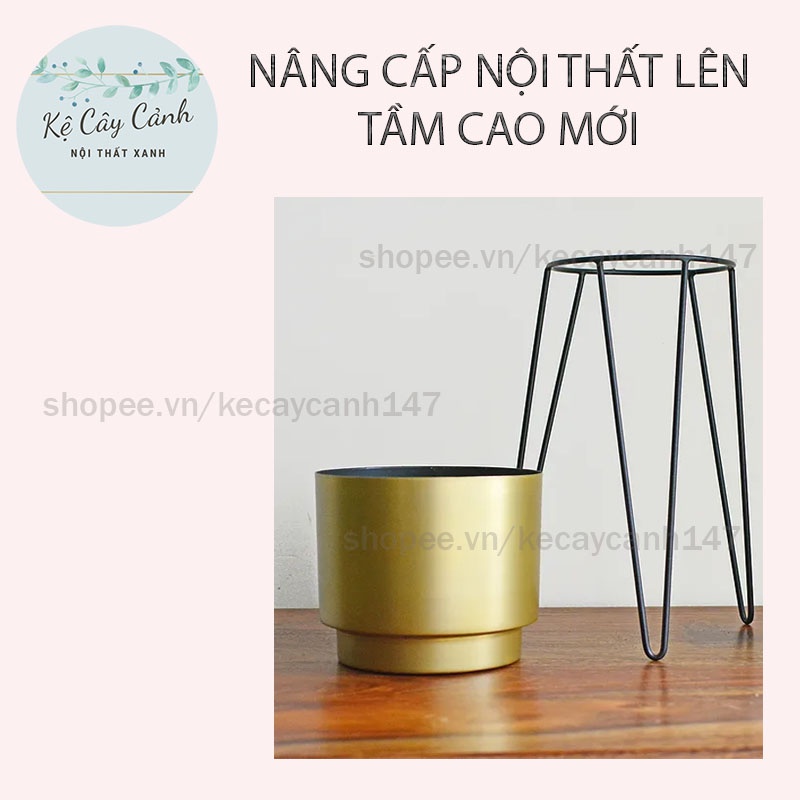 KỆ CÂY CẢNH CỔ ĐIỂN  ✨ SANG TRỌNG ✨ SƠN TĨNH ĐIỆN - CHỊU LỰC TỐT CHO NỘI THẤT HIỆN ĐẠI