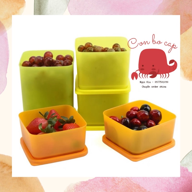 Bộ 5 Hộp Nhựa Tupperware Đựng Thực Phẩm Ngăn Mát - Trữ Mát Rau Củ Quả, Thức Ăn - Màu Vàng Cam Đẹp An Toàn Tiện Lợi