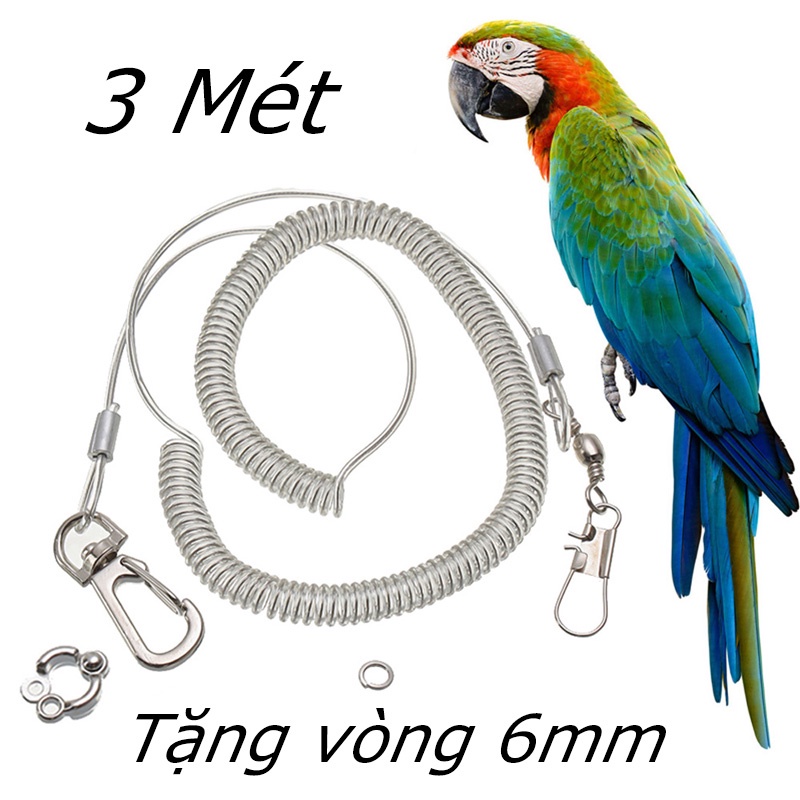 Tặng vòng chân vẹt 6mm, 3 mét đay xích huấn luyện bây cho chim ở ngoài trời, dây tập bây chim vẹt