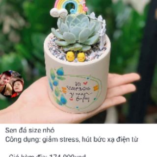 Sen đá tiểu cảnh