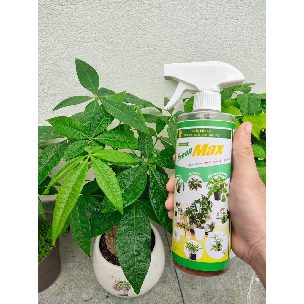 Phân bón lá sinh học, dưỡng lá toàn diện BCX Green Max