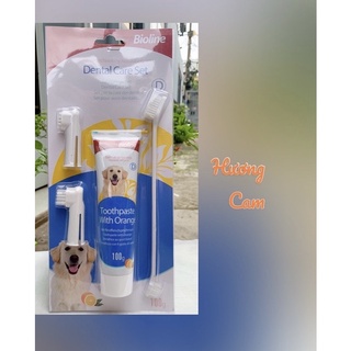 Bộ kem , bàn chải đánh răng cho Chó