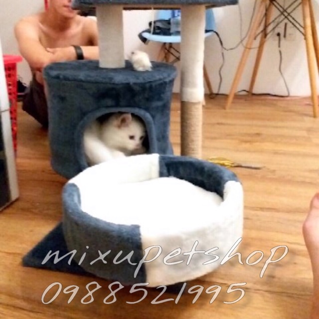 Cattree cho mèo - Trụ cào móng cho mèo 2 tầng size lớn