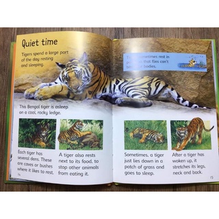 Usborne Beginners Series Science Collection 10 Books.