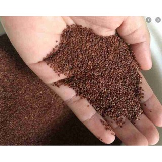 (100G) HẠT NGŨ HOA  - MẶT NẠ ĐÌNH LỊCH HÀNG MỚI TỰ NHIÊN